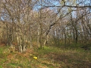 habitat-140406-14