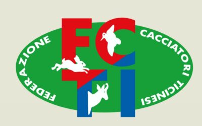Comunicazione importante