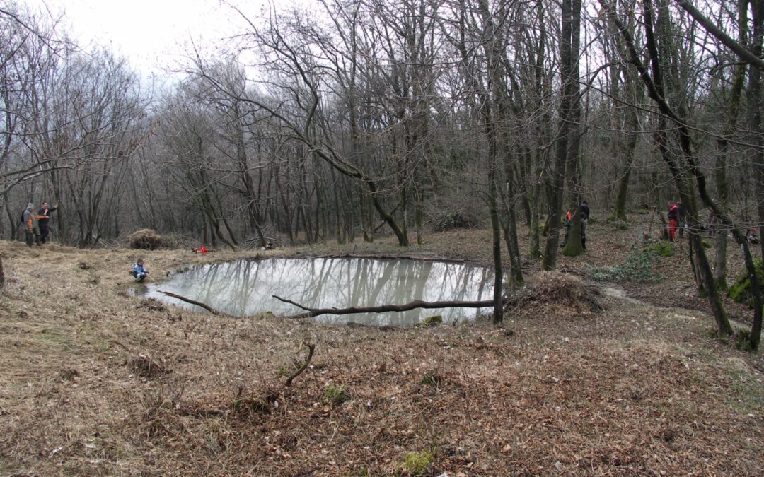 Lavori habitat – ripristinata anche la bolla di Meride-Scargnora