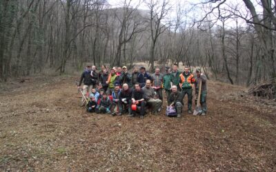 Azioni di ripristino degli habitat per la selvaggina 2017