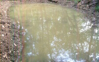 Ripristinata la bolla di Pessin sul Monte San Giorgio
