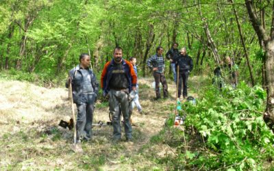 Interventi puntuali di recupero degli habitat 2019